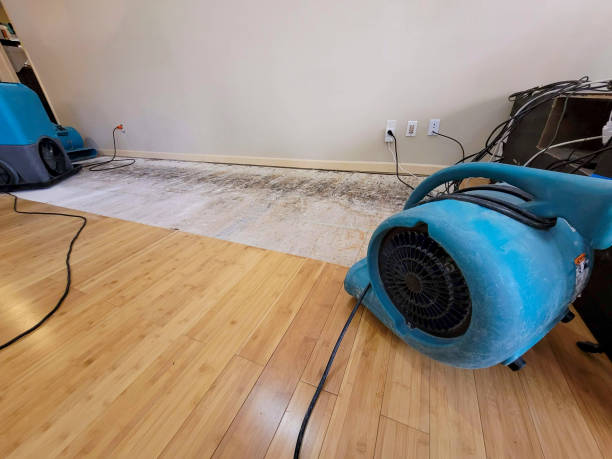 Professional Water Damage Repair technician working in Carville, LA